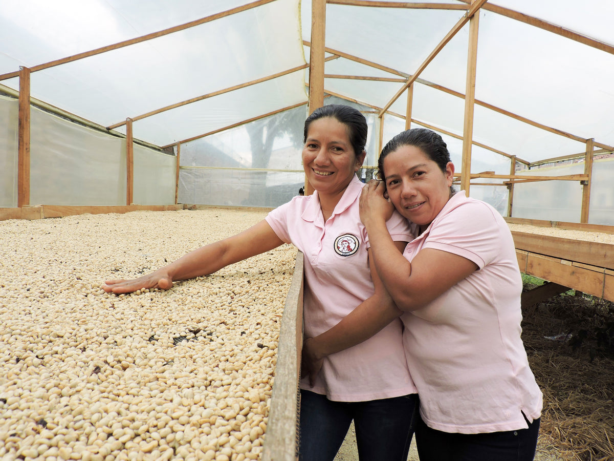 Cápsulas compostables origen Colombia AMUCC | Ecológicas y de Comercio Justo (10 unidades)