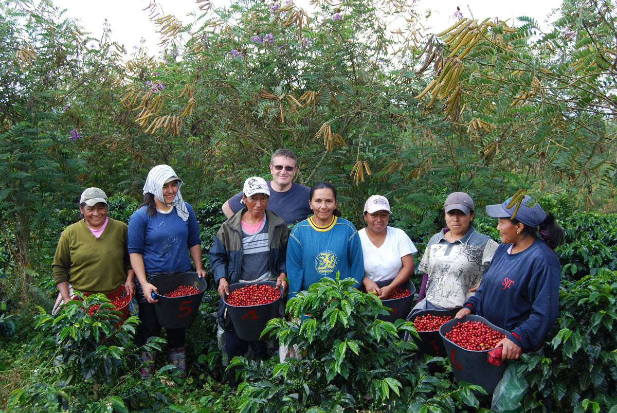 Cápsulas compostables origen Colombia AMUCC | Ecológicas y de Comercio Justo (10 unidades)