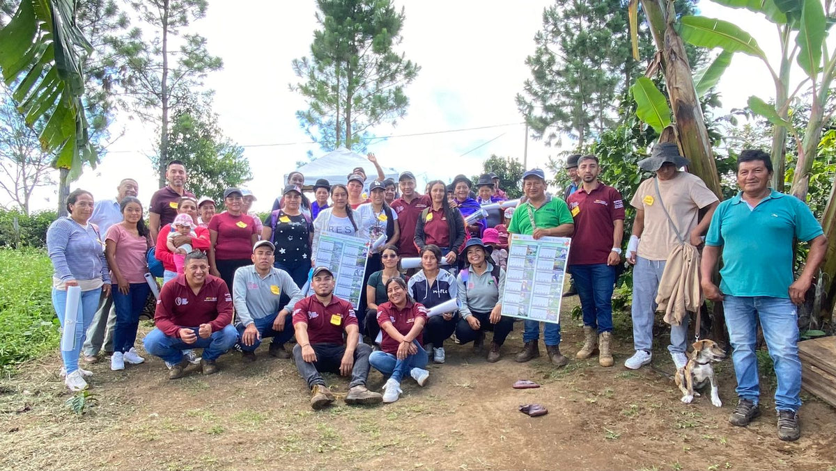 Cápsulas compostables origen Colombia AMUCC | Ecológicas y de Comercio Justo (10 unidades)