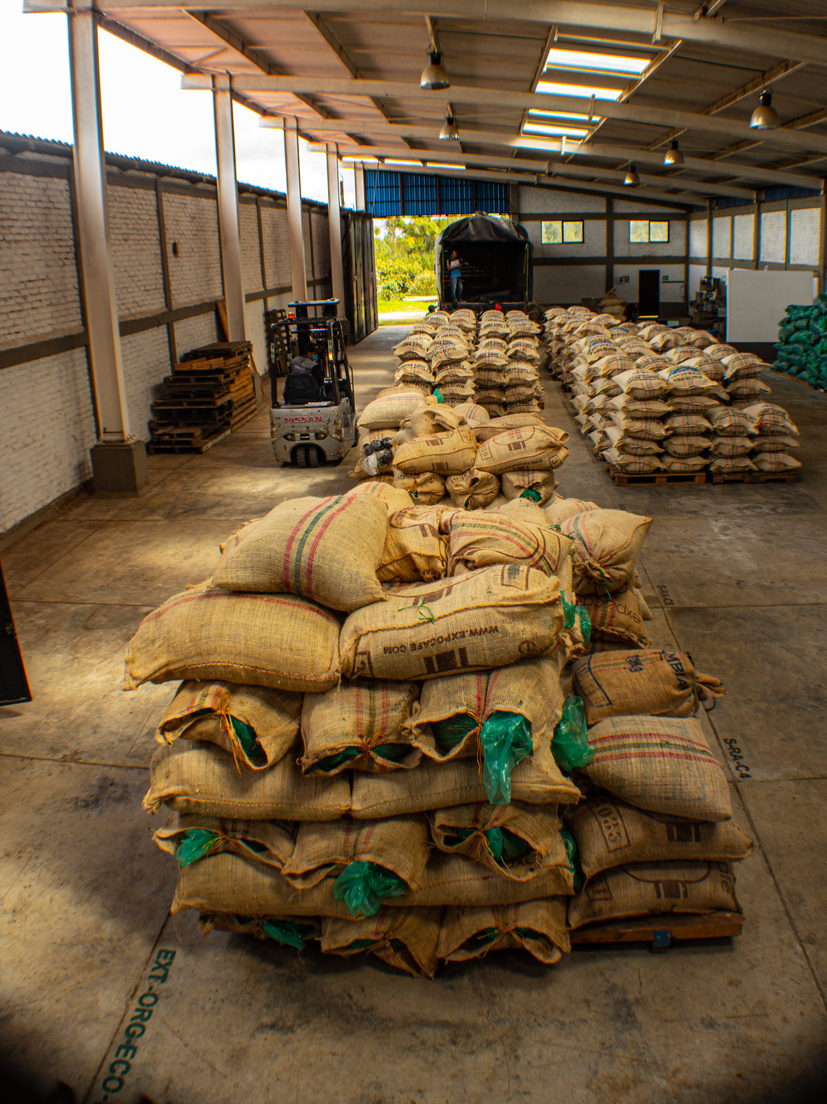 Café de Colombia de cosecha propia Hacienda Supracafé Typica 250g