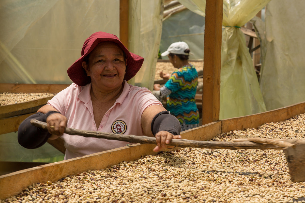 Cápsulas compostables origen Colombia AMUCC | Ecológicas y de Comercio Justo (10 unidades)