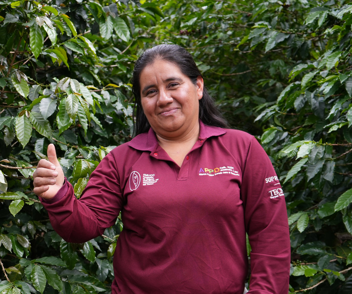 Cápsulas compostables origen Colombia AMUCC | Ecológicas y de Comercio Justo (10 unidades)