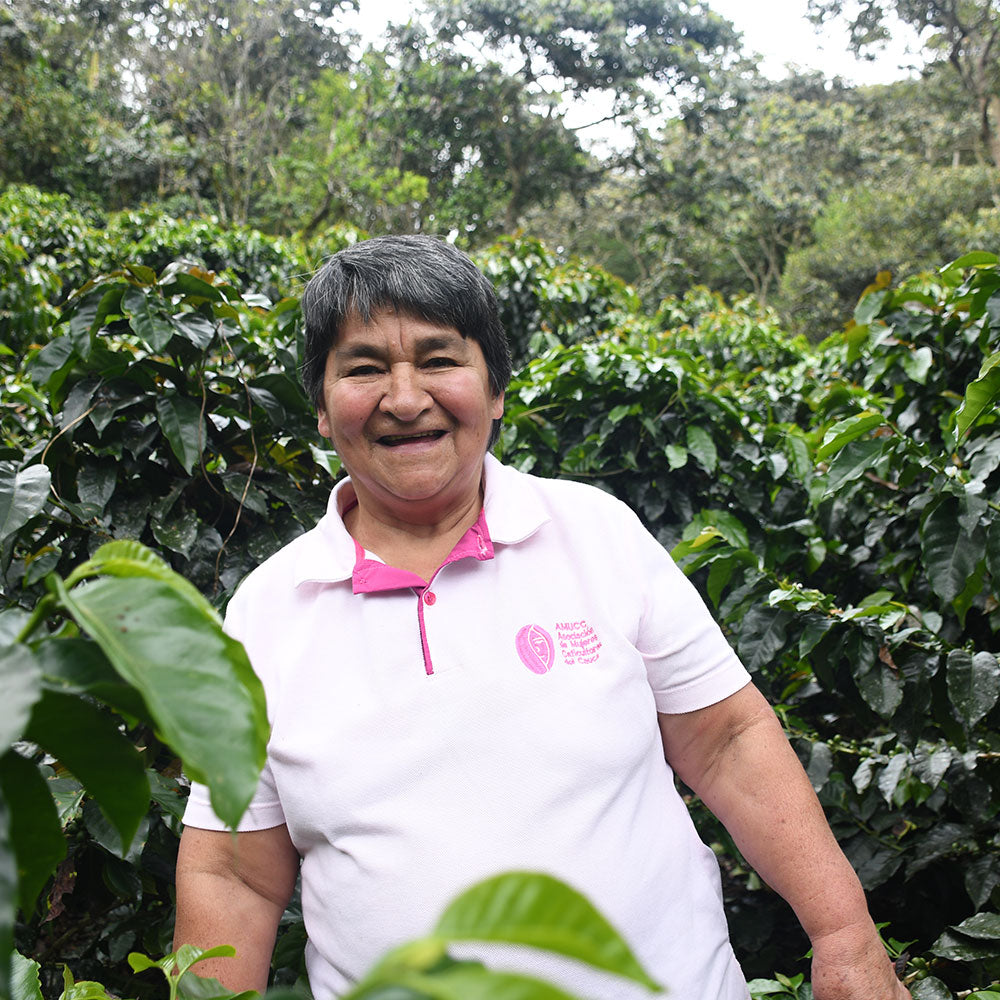 Cápsulas compostables origen Colombia AMUCC | Ecológicas y de Comercio Justo (10 unidades)